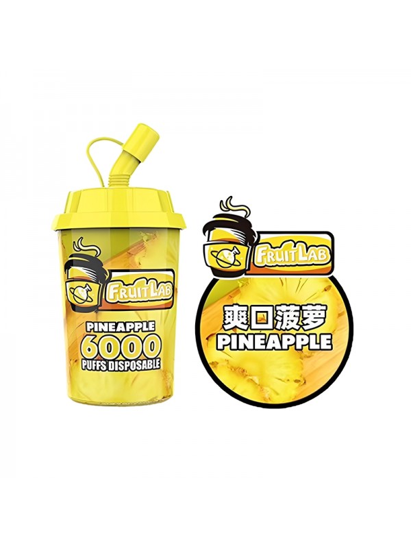 Fruit Lab Disposable Vape 6000 Puffs 15ml – ...